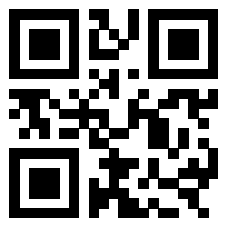 3303365613 - Immagine del QrCode
