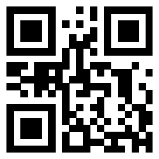 3303365666 - Immagine del QrCode