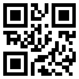 Il Qr Code di 3303365955