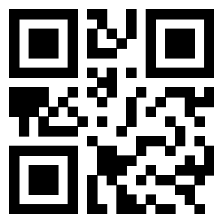 QrCode di 3303366028