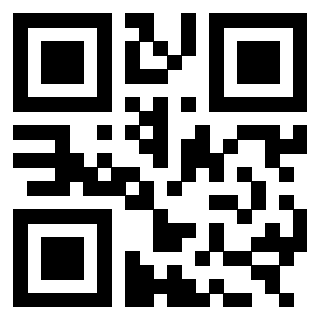 3303366113 - Immagine del QrCode