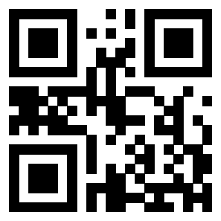 QrCode di 3303366141