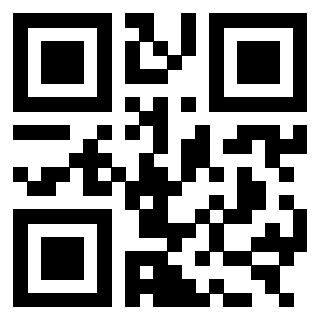 3303384731 - Immagine del Qr Code associato