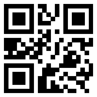 QrCode di 3303389034