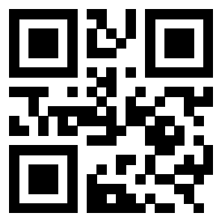 QrCode di 3303389093