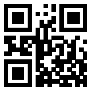 QrCode di 3303389113