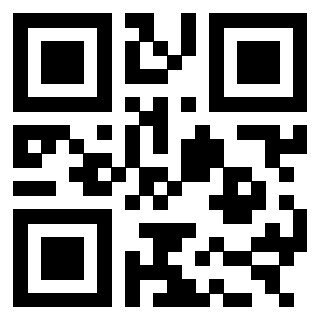 Il Qr Code di 3303389572