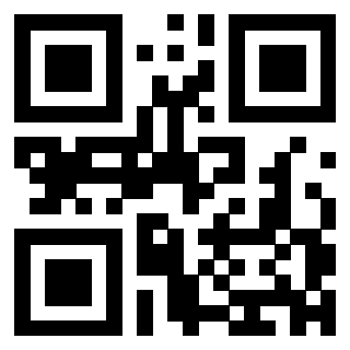 Il Qr Code di 3303389592