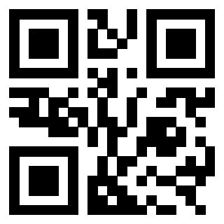 QrCode di 3303389698