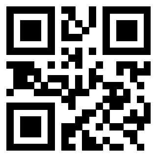 3303389991 - Immagine del QrCode