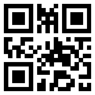 Il Qr Code di 3303390204