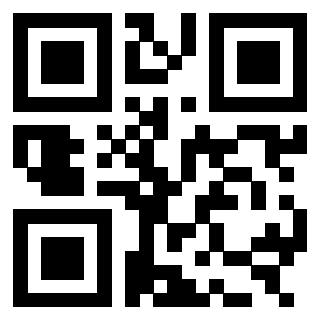 Il Qr Code di 3303390299