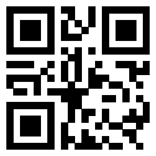 3303390313 QrCode associato