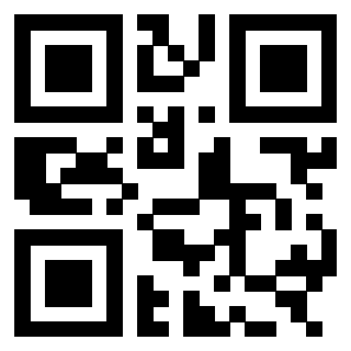 3303390495 Qr Code associato