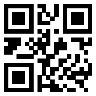 3303402599 - Immagine del QrCode