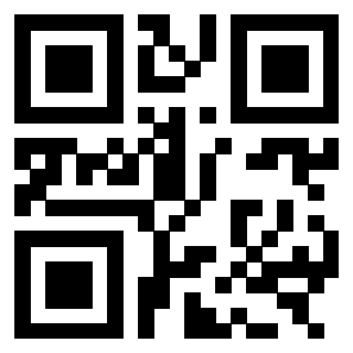 3303402656 - Immagine del QrCode