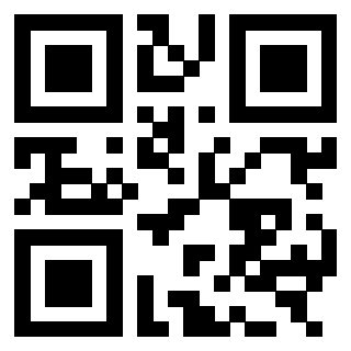 3303420013 - Immagine del Qr Code associato