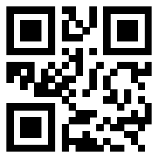 QrCode di 3303464062