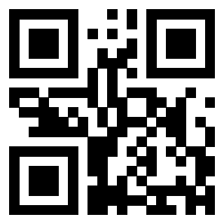 QrCode di 3303464261