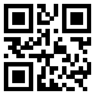 3303464353 - Immagine del QrCode