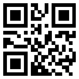 Il Qr Code di 3303464739