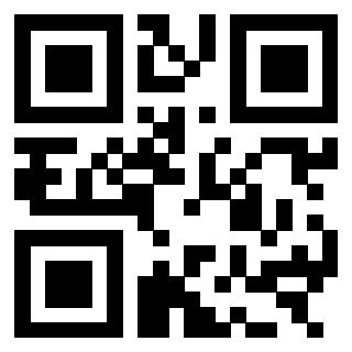 3303465013 - Immagine del QrCode