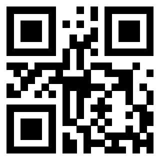 QrCode di 3303495882