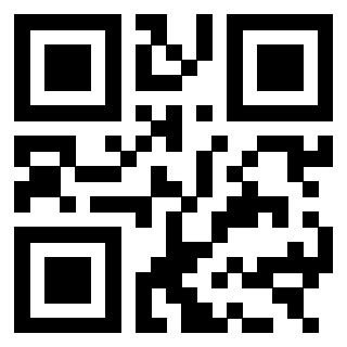 Il Qr Code di 3303496038