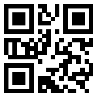 Il Qr Code di 3303496045