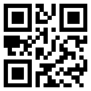 3303496064 - Immagine del QrCode