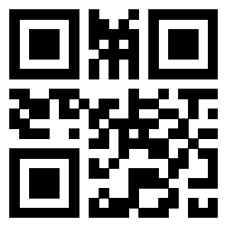 Il Qr Code di 3303496074