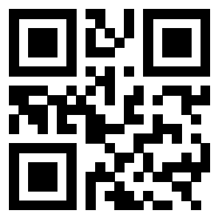 Il Qr Code di 3303496139