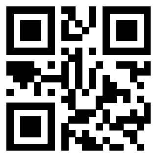 3303496309 - Immagine del QrCode