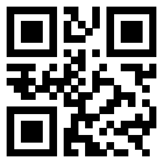 3303496334 - Immagine del QrCode