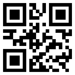 3303496348 - Immagine del QrCode