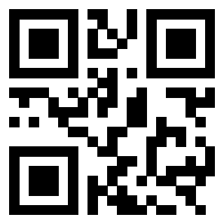 3303496447 - Immagine del QrCode