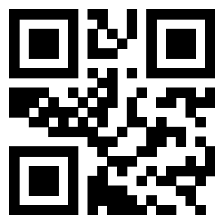 Il Qr Code di 3303496634