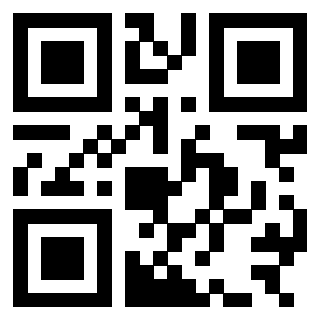 3303578381 - Immagine del QrCode