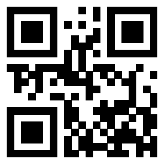 3303581033 - Immagine del QrCode
