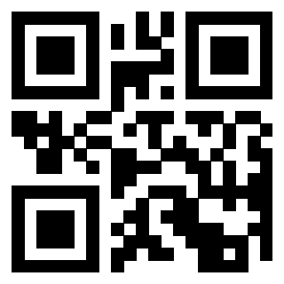 Il Qr Code di 3303587133