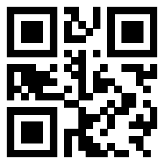 3303587311 - Immagine del QrCode