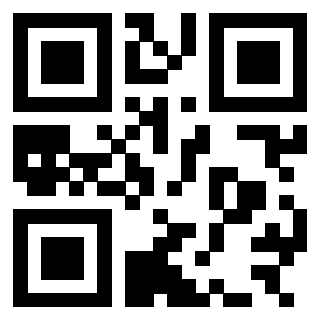 Il Qr Code di 3303587433