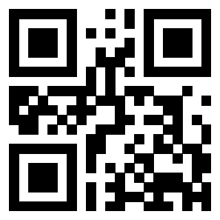 QrCode di 3303675695