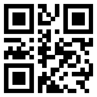 QrCode di 3303676238