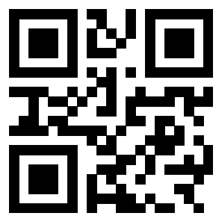 QrCode di 3303689881