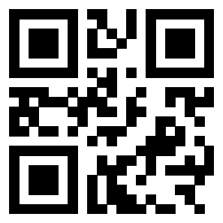 QrCode di 3303689955