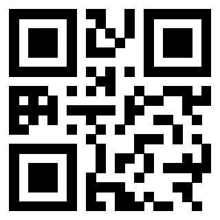 3303690209 - Immagine del QrCode