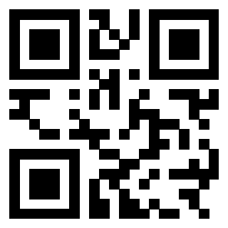 QrCode di 3303690384