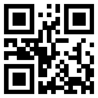 Il Qr Code di 3303690431