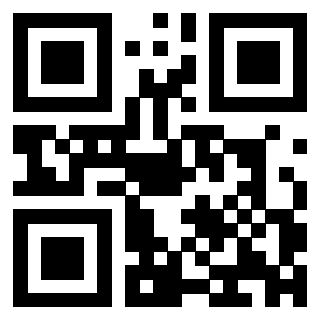 3303701613 - Immagine del Qr Code